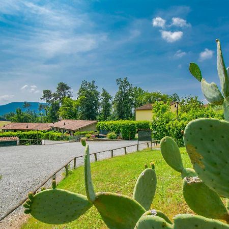 Holiday Home I Pini By Interhome San Macario In Piano Экстерьер фото